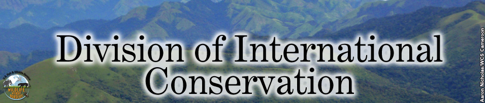 Rolling hillside Division of International Conservation banner image