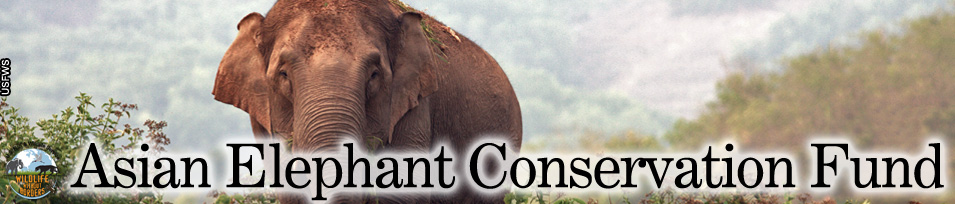 Asian elephant conservation fund banner