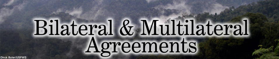 Mountain-side forest landscape, Bilateral & Multilateral Agreement banner image. Credit: Dirick Byler/USFWS