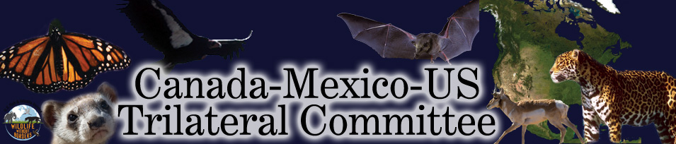 canada-mexico-us trilateral committe banner