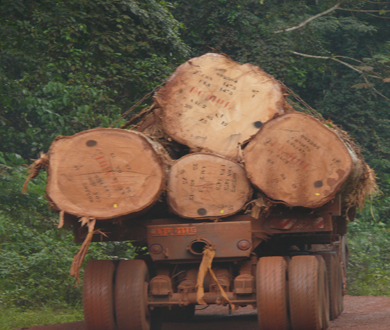 logging truck in Central Africa. Credit: Dirck Byler/ USFWS