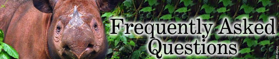 Frequently Asked Questions banner image
