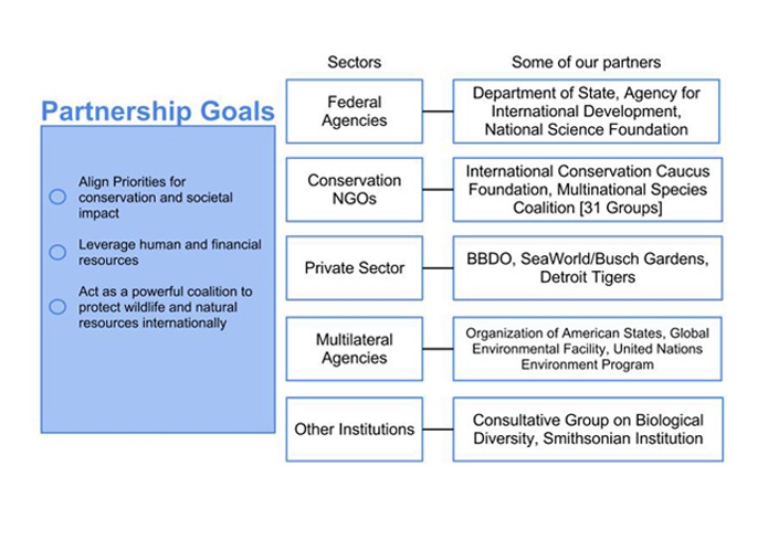 global partnerships chart
