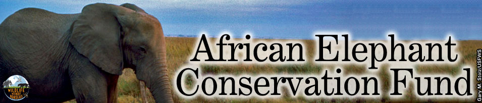 african elephant conservation fund banner
