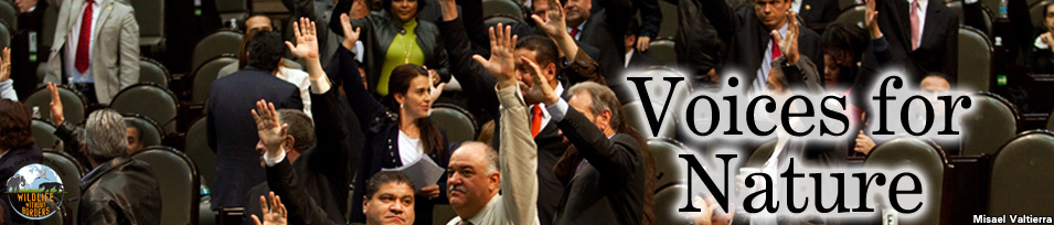 Mexican Congress Voices for Nature banner image. Credit: Misael Valtierra
