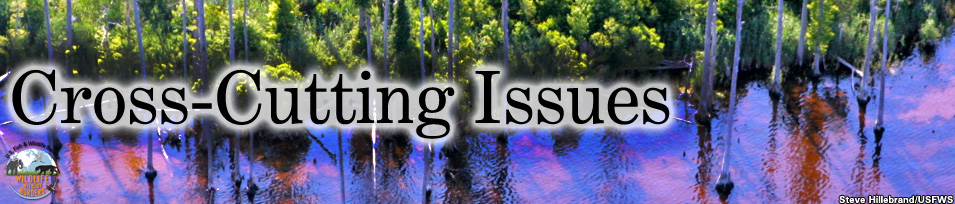 Cross-cutting issues banner - sea level rise