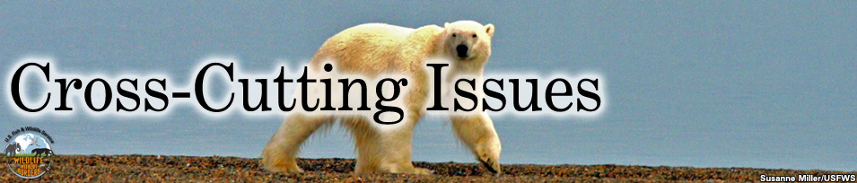 Cross-cutting issues banner - climate change