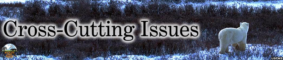 Cross-cutting issues banner - climate change