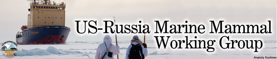 US-Russia marine mammal working group banner