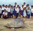 Local children watch the relese of hawksbill turtle Credit: Sea Turtle Conservancy
