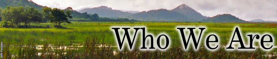 Who we are banner