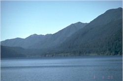 Olympic National Park - Clear Day