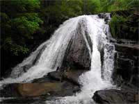 Roaring Run Falls.