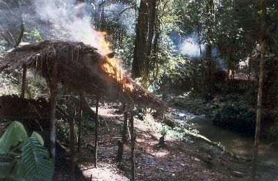 Date: 2003 Location: Anori, Department of Antioquia, Colombia Description: Fronds atop a lean-to burning in a forested area near a stream. Contest Submission by Carolina Garcia Moyano