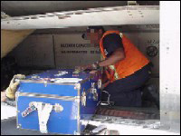 Worker loading large baggage into cargo bin