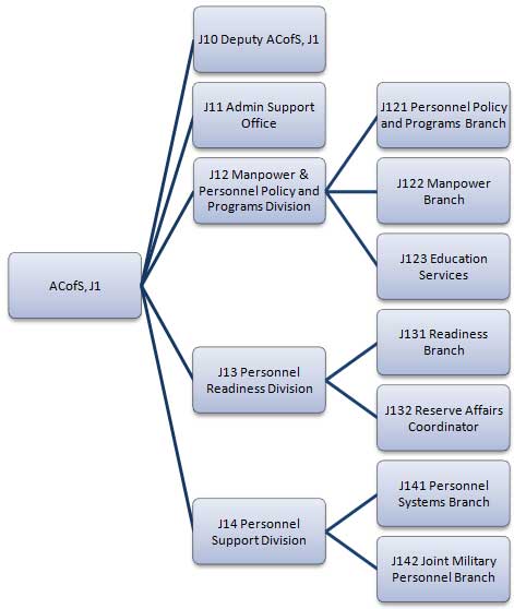 Organization Chart