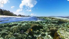 A new partnership between mapping giant Google andThe Catlin Seaview Survey allows you to surf through the world’s oceans in the first underwater panoramas in Google Maps.