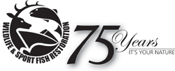 WSFR 75th Logo