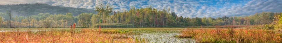 Photo of the Beaver Marsh by Jeffrey Gibson.