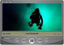 NEEMO Live Webcams