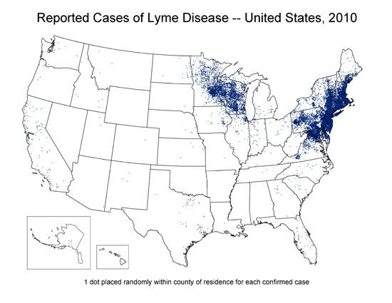 U.S. map reported cases of Lyme Disease at a county-wide level