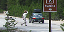 Visitor crossing Tioga Road near trailhead