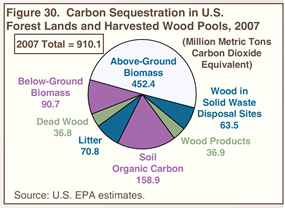 Figure 30. Carbon Sequestration in U.S. Forest Lands and Harvested Wood Pools, 2007 (million metric tons carbon dioxide equivalent).  Need help, contact the Naational Energy Information Center at 202-586-8800.