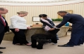 President Obama Burmese Opposition Leader Aung San Suu Kyi and Bo