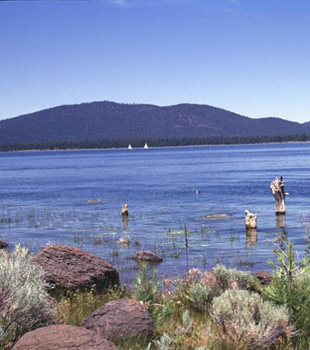 Cinder cones at Eagle Lake Volcanic Field.