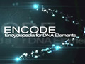 ENCODE