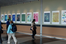 Several Art of Science posters are currently displayed at O’Hare International Airport and will remain up through early 2013. The exhibit is located in the hallways connecting Terminals 2 and 3 adjacent to the Rotunda. (Image courtesy of the City of Chicago Department of Aviation.)