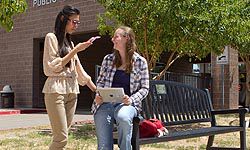 Students in front of Mesa Public Library