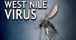 West Nile Virus Cases Increase
