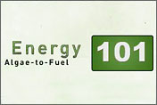 Energy 101: Algae-to-Fuel