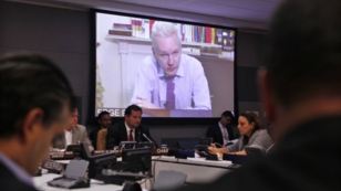 WikiLeaks founder Julian Assange addresses a meeting via videolink from Ecuador's London embassy during the United Nations General Assembly at U.N. headquarters, September 26, 2012.