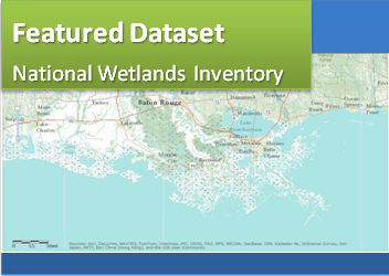 Graphic showing the featured dataset 'National Wetlands Inventory'