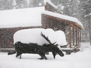 house buried in snow