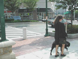 Figure 5. Planter used to indicate crosswalk location