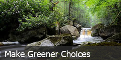 Make greener choices