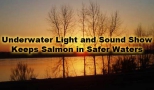 Underwater Light and Sound Show Keeps Salmon in Safer Waters