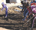 Photo of students gardening