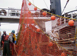 Modifying Trawl Gear, Preserving Fish Habitat in the Bering Sea