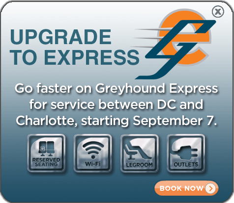 Greyhound Express