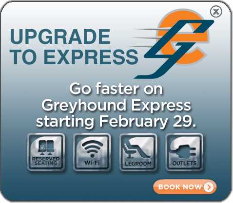 Greyhound Express