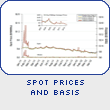 Spot Prices and Basis