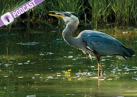 Sept. 29 is National Estuaries Day