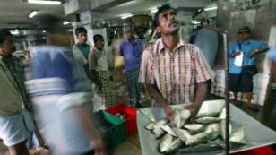 A Sri Lankan fisherman weighs fish for customers at the St. Jones fish market in Colombo, Sri Lanka.