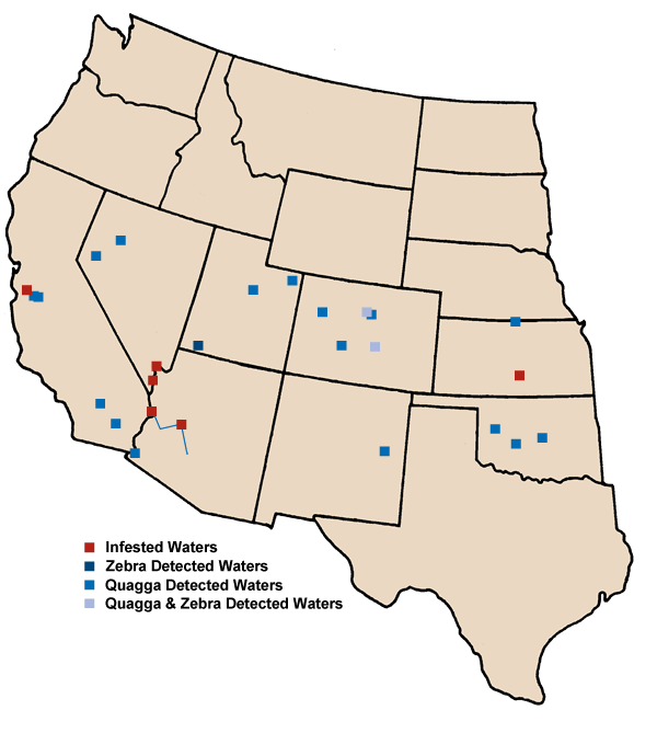 Map showing mussels in the 17 western states