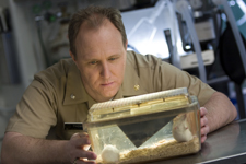 Veterinarian examining mice