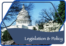 Legislation and Policy